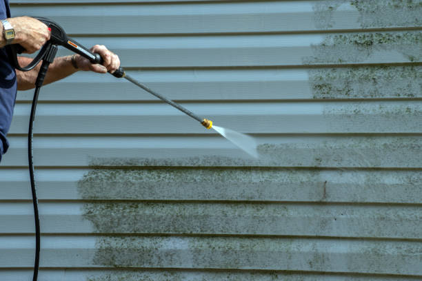 Best Gutter Cleaning  in Wolf Lake, MI